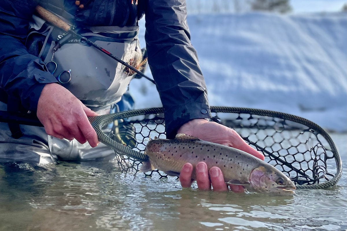 March 24, 2023 Fly Fishing Report for the Truckee River and Pyramid Lake